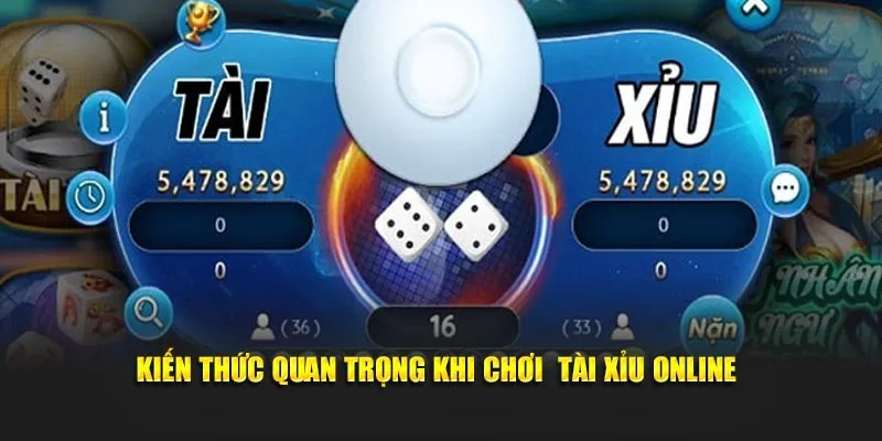Kiến thức quan trọng khi chơi  tài xỉu online