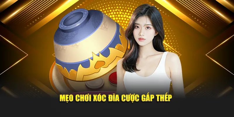 Mẹo chơi xóc đĩa cược gấp thếp