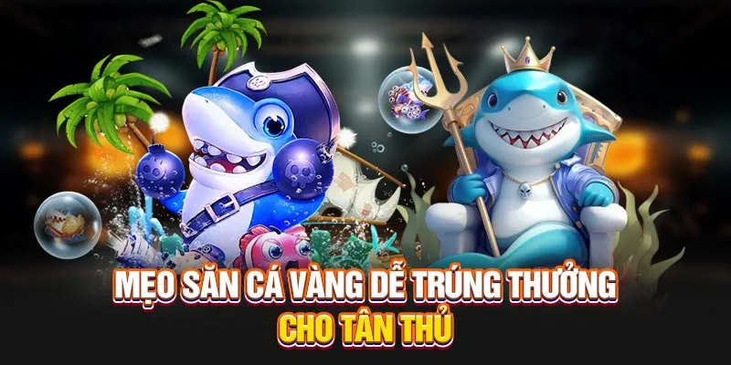 Mẹo săn cá vàng dễ trúng thưởng cho tân thủ