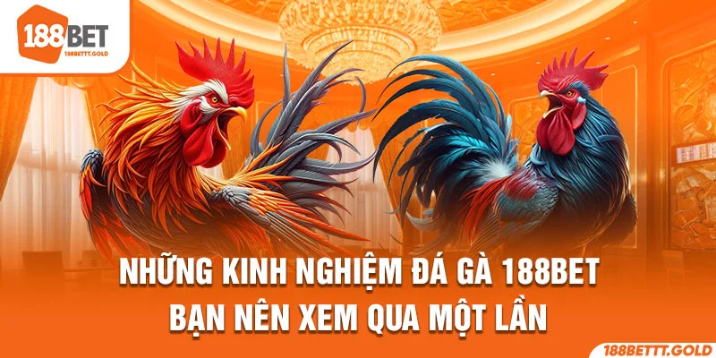 Những kinh nghiệm đá gà 188BET bạn nên xem qua một lần