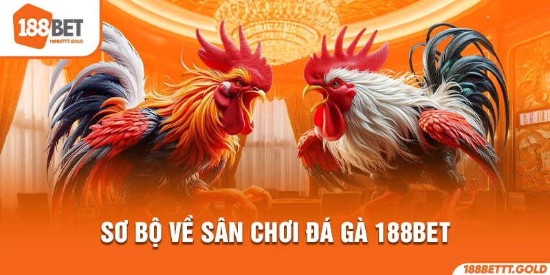 Sơ bộ về sân chơi đá gà 188BET