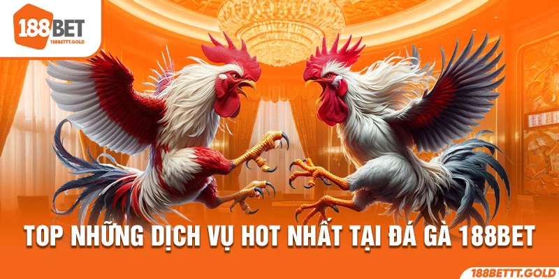 Top những dịch vụ hot nhất tại đá gà 188BET